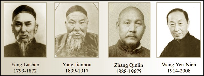 lignée YJMC taiji