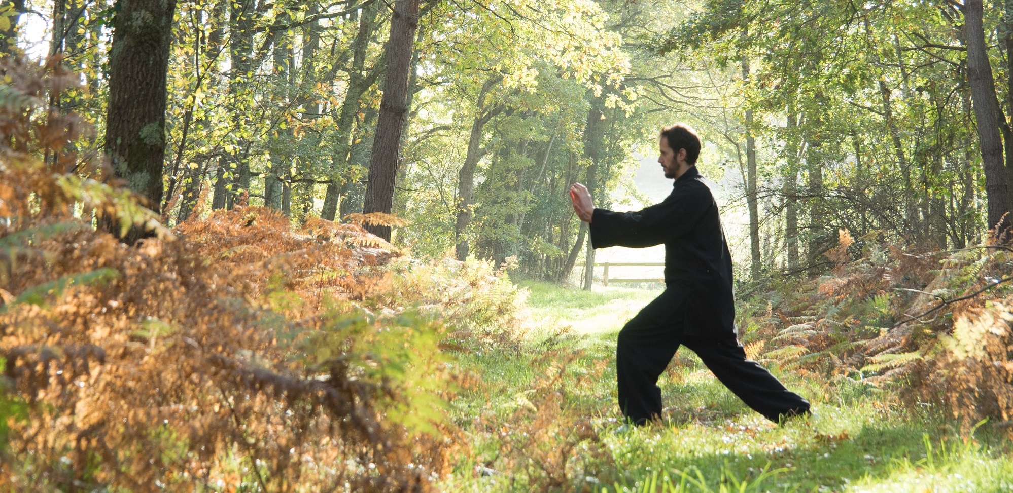 BH TJQ Forêt